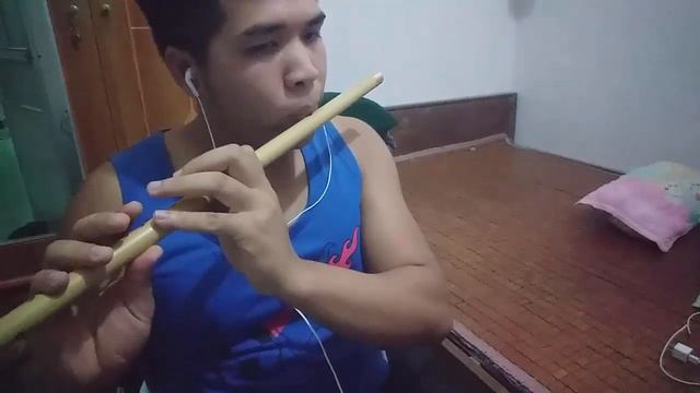 Dan + Shay, Justin Bieber - 10,000 Hours flute cover смотреть онлайн