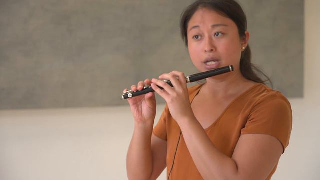 TEXAS ALL-STATE 2021-22 Flute and Piccolo Etude Nº3 - Andersen Op. 15/16 (63/14) Etude in Eb Minor смотреть онлайн