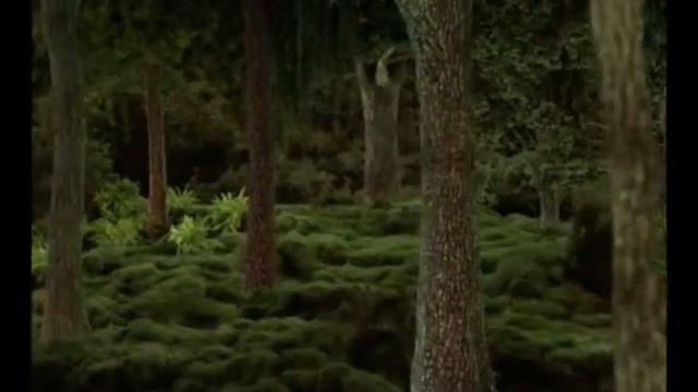 PROGRAMA OVER FASHION 08 MARÇO 2015, COMPLETO , POR FRANCISCO CHAGAS смотреть онлайн