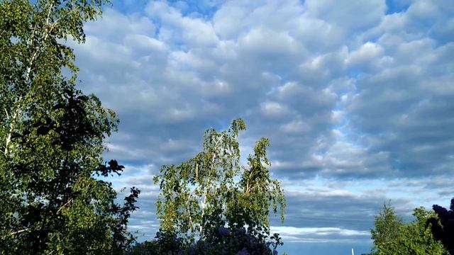 26 мая-Лукерья-комарница. Приметы, обряды, ритуалы, традиции, заговоры смотреть онлайн