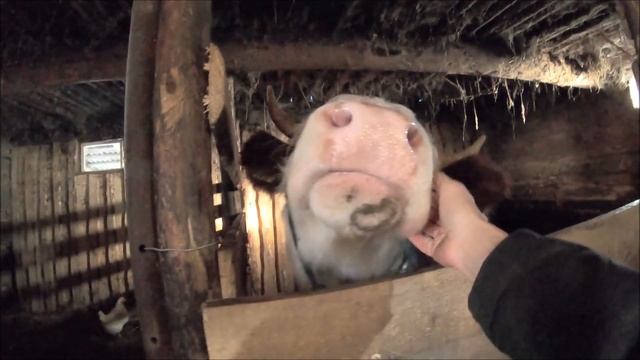 Сидим без воды. Потери в хозяйстве смотреть онлайн