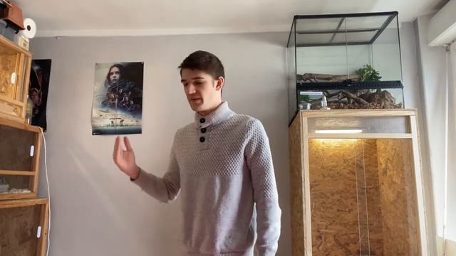 Python Reguis/python ball présentation/manipulation смотреть онлайн
