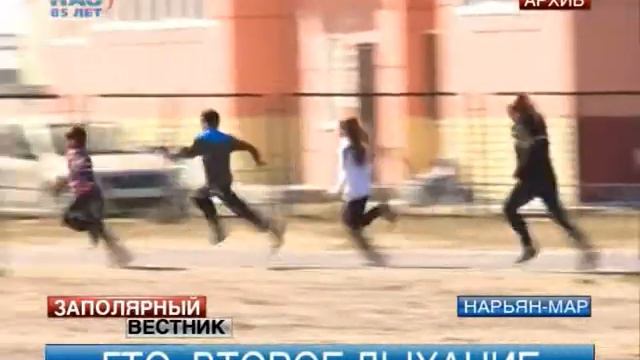 Администрация НАО разрабатывает систему поощрений за сдачу ГТО смотреть онлайн