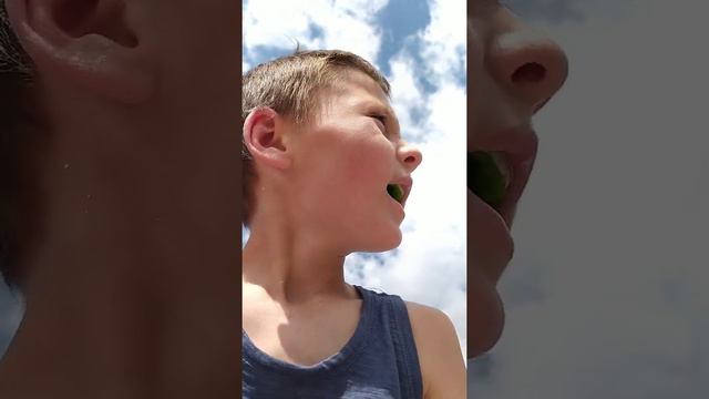 Погода на 15 число августа 2020 смотреть онлайн