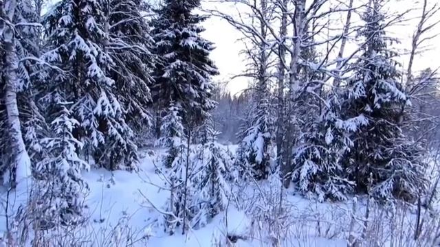 Бровченко/Удалось ли поймать хайп на теме переезда?Кто же хейтеры- мы или поклонники Тани и Бори? смотреть онлайн