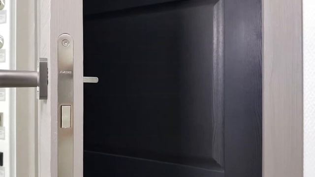 Фабрика интерьерных дверей "dream DOORS" модель Alfa 6 зеркало графит панель 3D смотреть онлайн