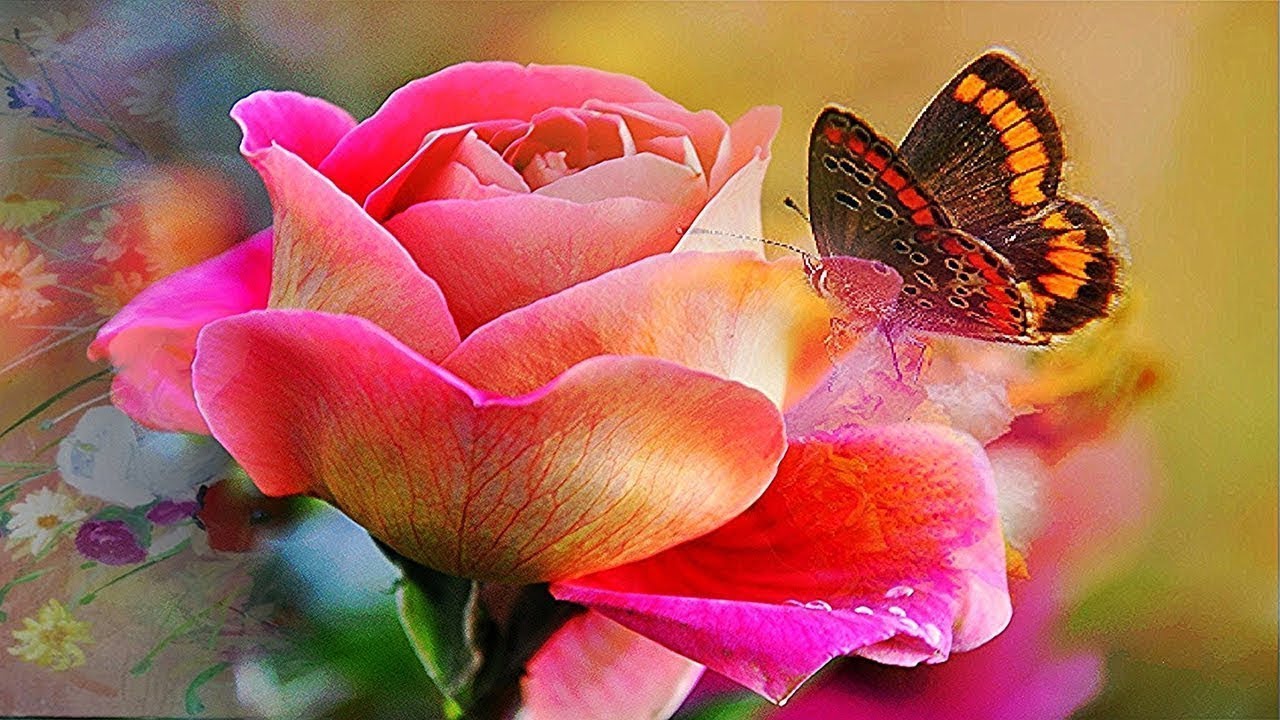 САМАЯ НЕЖНАЯ МУЗЫКА ДЛЯ ДУШИ.Это очень красивая, бесподобная музыка. смотреть онлайн