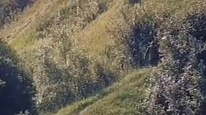 Нас венчали не в церкви