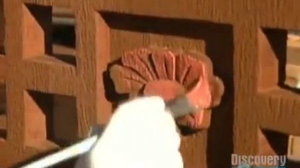 Building A Thrill Ride - Expedition Everest Part 3