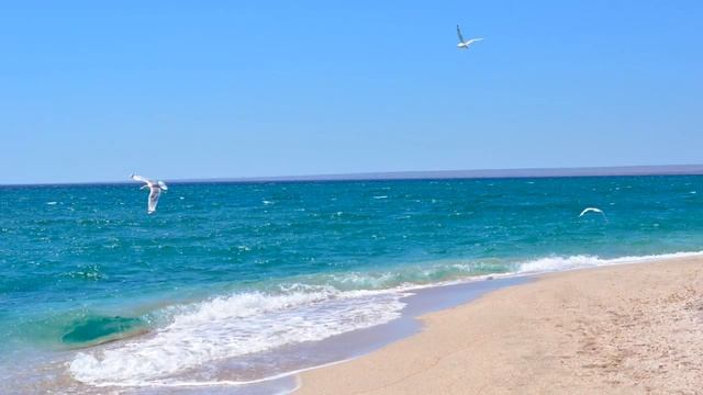 Relaxing Sounds - 9 Hours Non Stop SOUND WAVES and BIRDS смотреть онлайн