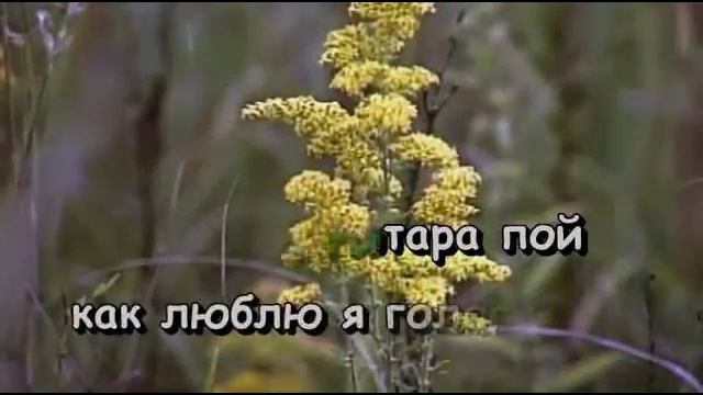 Ю. Лоза_Пой моя гитара, пой (cover) смотреть онлайн