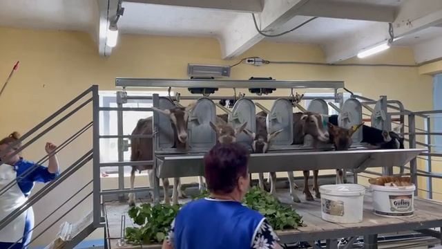 video_2023-06-15_09-53-22