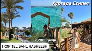 Египет Лучший Риф! Tropitel Sahl Hasheesh Хургада | обзор номеров, пляжа, территории и еды