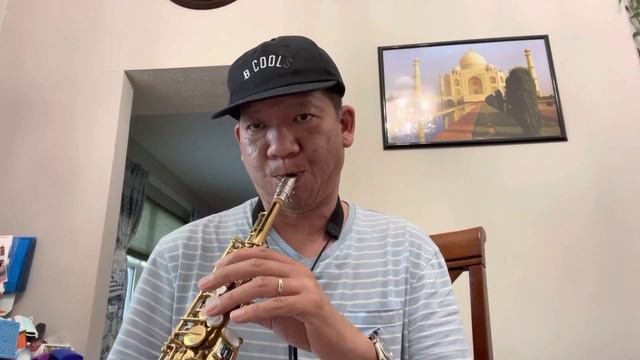 184xxx Selmer Mark VI Soprano www.columbusax.com (858)568 5443 смотреть онлайн