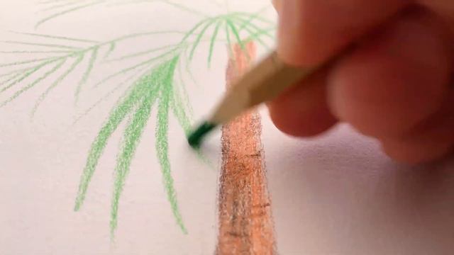 Palm painting. How to draw palm with color pencils. Free art lessons. Drawing tutorial for beginner смотреть онлайн