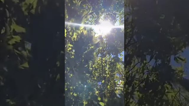 Счастье - это ....... смотреть онлайн