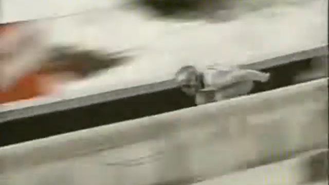 Mix of skijumping (by nanu) film from year 2005..:) смотреть онлайн