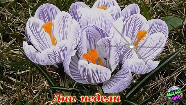 Обязательно Сделайте Это в Субботу, Чтобы Изменить Свою Судьбу в Лучшую Сторону. смотреть онлайн