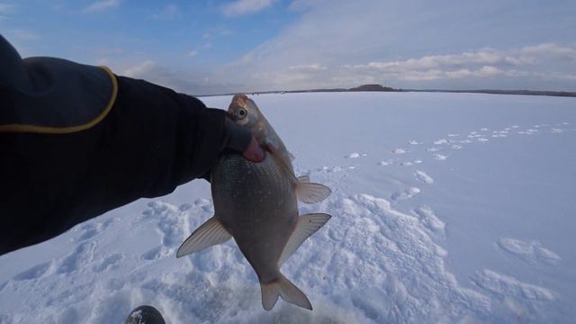 РУЗА!! ГЛУХОЗИМЬЕ???? МОРОЗНЫЙ ФЕВРАЛЬСКИЙ ЛЕЩ!! смотреть онлайн