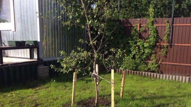 Как из двух бытовок построить дом. Моя история смотреть онлайн