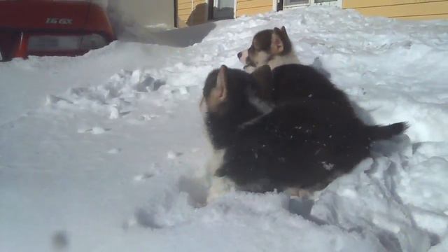 100 0073 смотреть онлайн