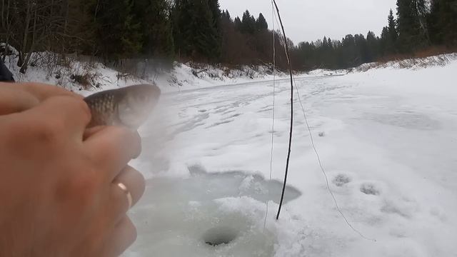 РЫБАЛКА НА КОСЫНКИ. ВОТ ЭТО ДА . ЭТИ РЫБИНЫ УТАСКИВАЮТ ПРУТИКИ. ЩУКА РВЕТ ЛЕСКУ. смотреть онлайн