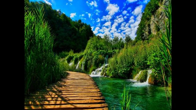 p смотреть онлайн