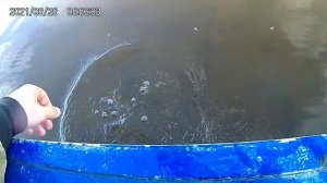 Рыбалка в Нарьян-Маре на спиннинг