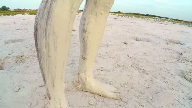 Frank disfruta del "original baño maya" | Wild Frank en México | Animal Planet смотреть онлайн