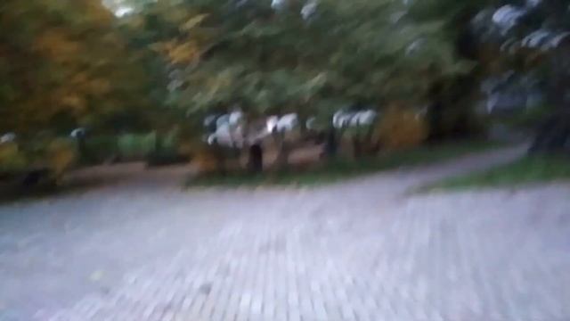 Прогулка по Великим Лукам. смотреть онлайн