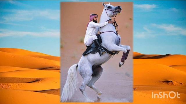 16 ноября 2022 г. смотреть онлайн