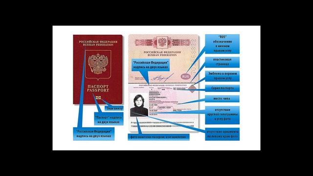 Серия и номер паспорта: как узнать какой регион смотреть онлайн