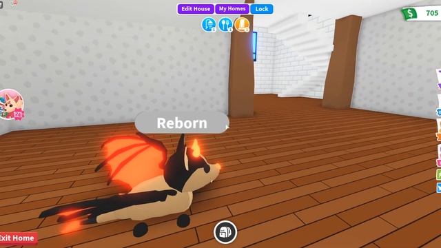 ПРОВЕРКА ЛАЙФХАКОВ для Роблокс Адопт Ми из ТИКТОК! | ТИК-ТОК Лайфхаки в Roblox Adopt Me смотреть онлайн