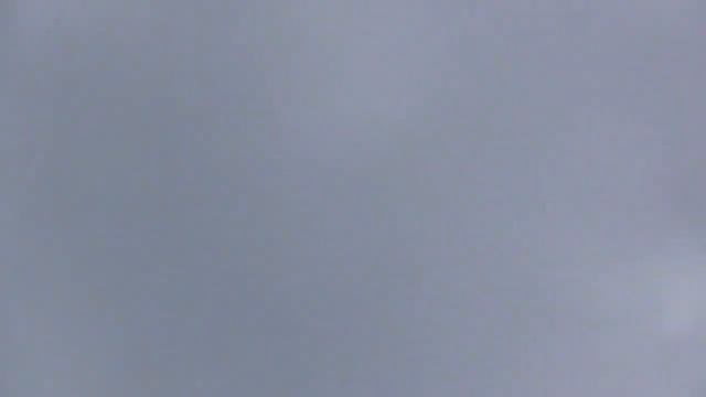 Молодые всё лучше начинают играть. Бойные голуби. смотреть онлайн