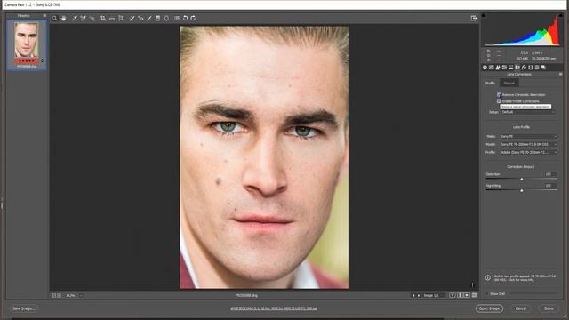 Adobe Camera Raw - Секреты работы, урок № 2 смотреть онлайн