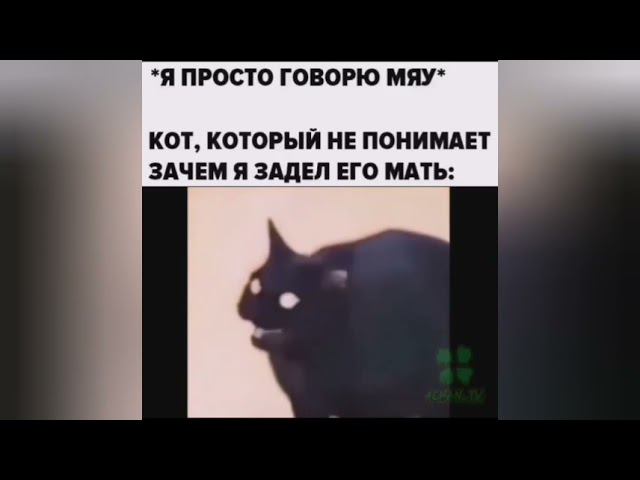 Когда мяукнул и задел мать кота. Видео На тот случай когда пыхнул травки смотреть онлайн