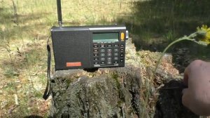 Радиоприемник XHDATA D-808, самодельный audio splitter, летняя коллекция антенн ? .