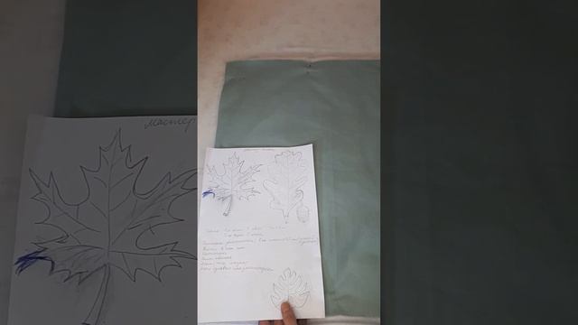 Мастер-класс Кроим листоплед. Урок1.