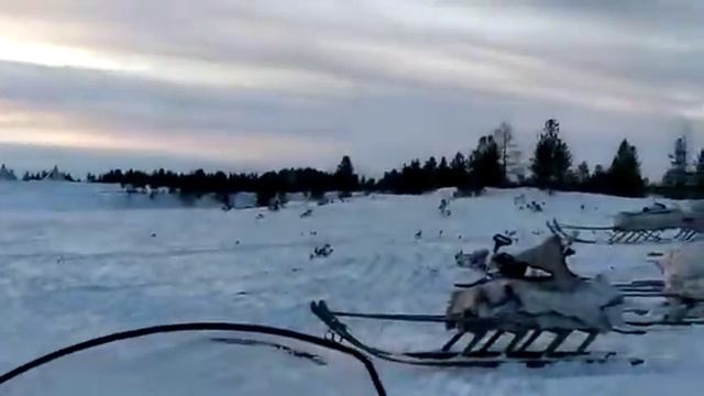 Заехали к ненцам, детям конфеты подарить смотреть онлайн