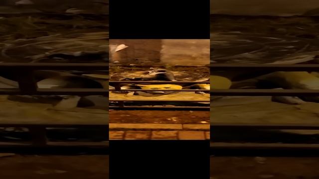 Ну и кто здесь главный?