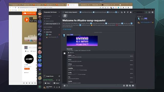 Hydra Bot 2021 SETUP Guide - How to Invite, Play Music, & Setup Channels смотреть онлайн