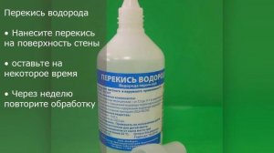 СРОЧНО! Проверяйте УГЛЫ. Методы Избавления от Плесени