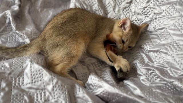 IMG_9919 смотреть онлайн