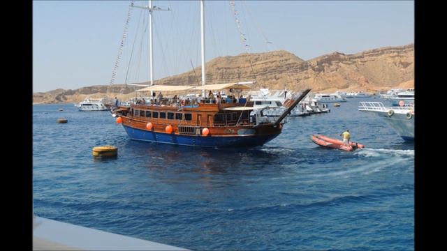 Красное море - море которое завораживает смотреть онлайн