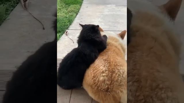 Нежность смотреть онлайн