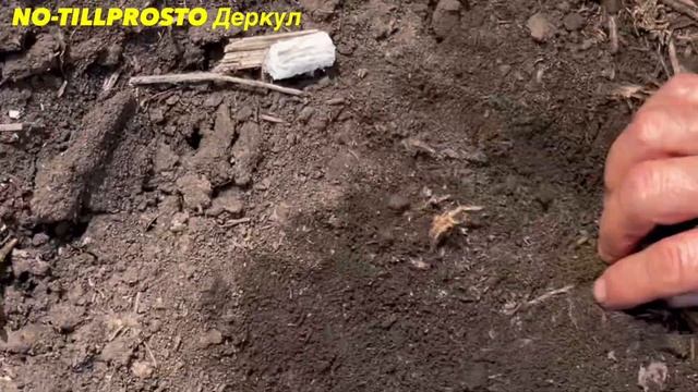 Посев рапса сеялкой DMC PRIMERA. 12.10.2022 Прикатывающий каток Guttler. Аппликатор NITRO GRO 5010 смотреть онлайн