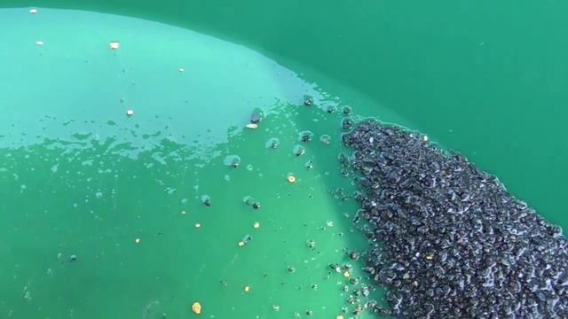 На песочной речке смотреть онлайн