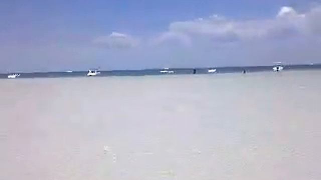 Pink sand island florida смотреть онлайн