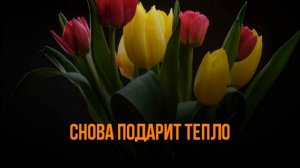 СЕРГЕЙ ОДИНЦОВ - ВОСЬМОЕ МАРТА - КАРАОКЕ