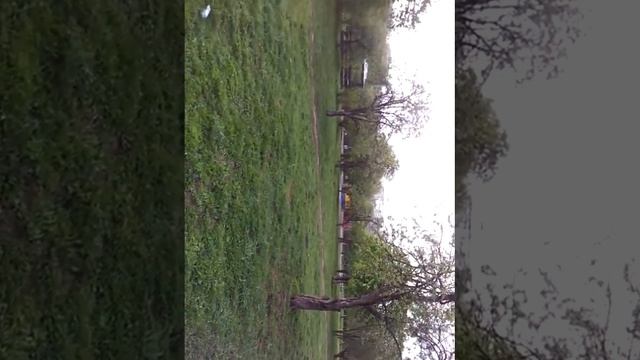 Рассвет в яблоневом саду.И это тоже Москва смотреть онлайн